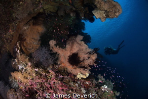 I have no title for this image! by James Deverich 